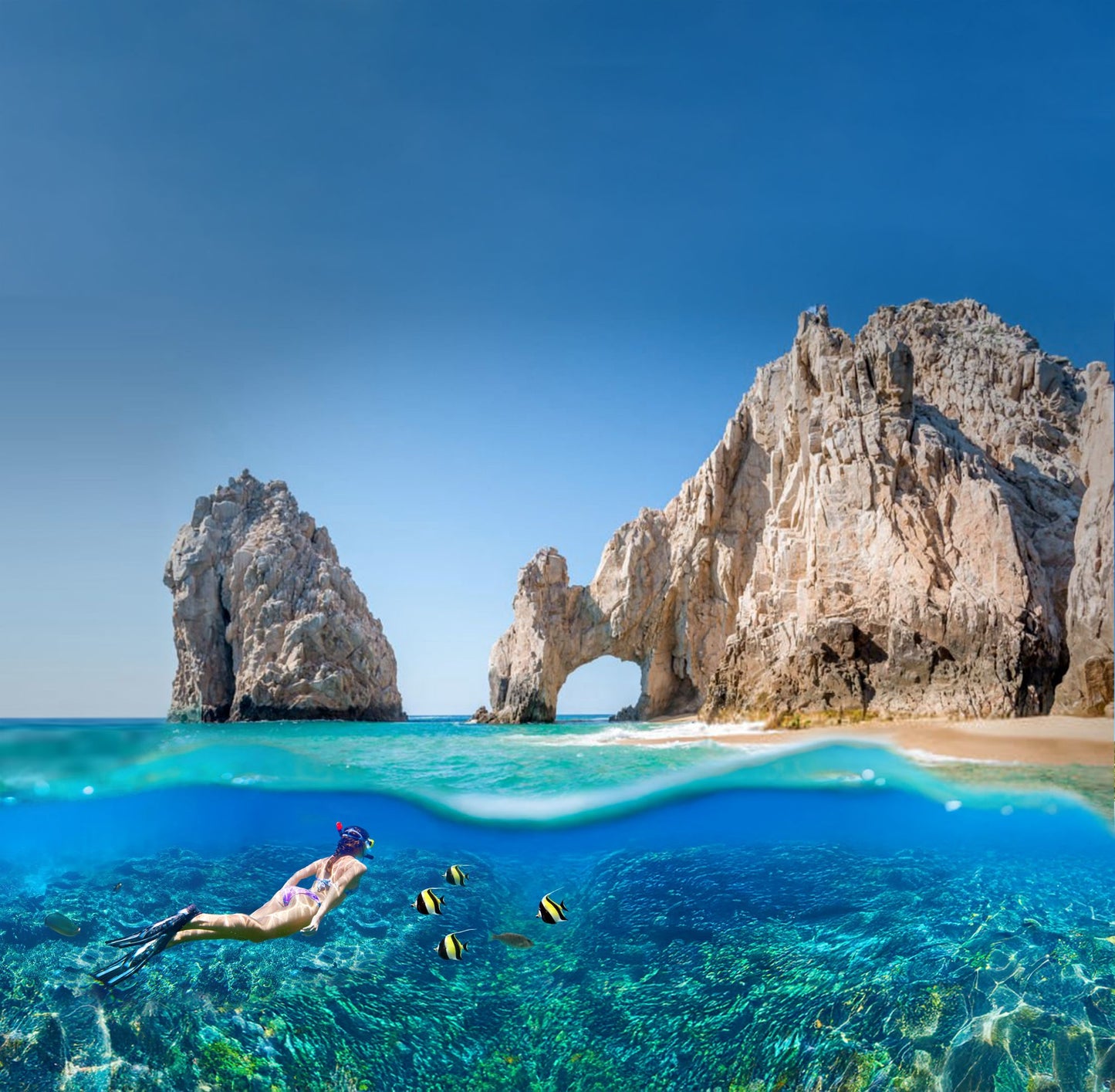 SILVER: ELEVATE YOUR ANNUAL REWARD WITH NORWEGIAN CRUISE LINE