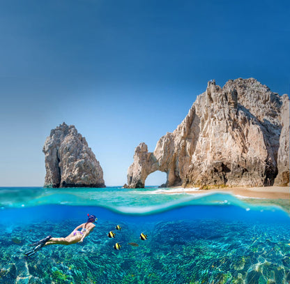 SILVER: ELEVATE YOUR ANNUAL REWARD WITH NORWEGIAN CRUISE LINE